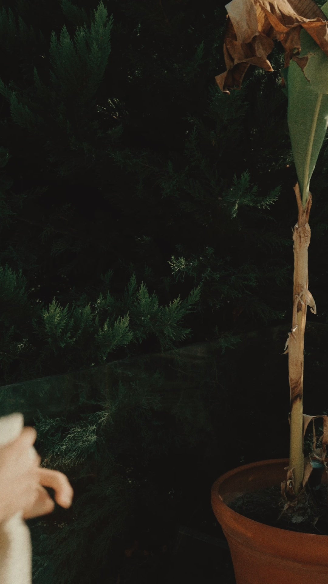 balzac waffle towel green tea